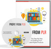 Thumbnail Profit From PLR Video Upgrade