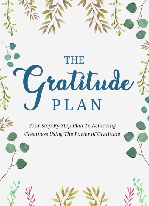 Product picture The Gratitude Plan