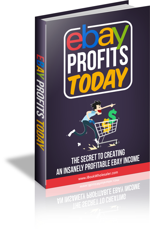 Product picture Ebay Profits